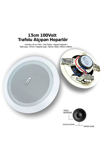 Dexun 30W 13cm Tavan Hoparlör (100V Hat Trafolu Alçıpan Hoparlör)