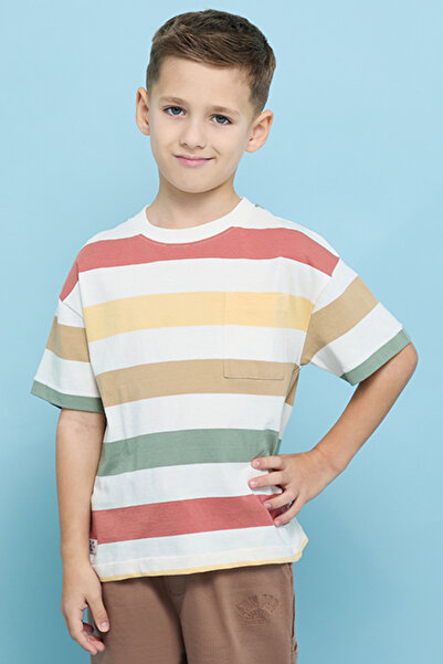 R&B Striped T-Shirt with Crew Neck and Short Sleeves