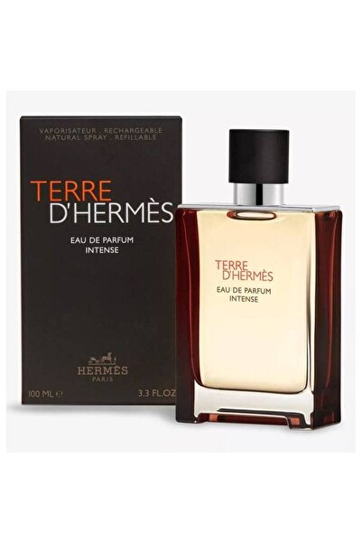 HERMES PARIS Terre D Edp Intense 100ml for Men