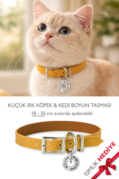 pasiole Kedi-köpek Boyun Tasması İsimlik Hediyeli Ayarlanabilir Kedi & Küçük ...