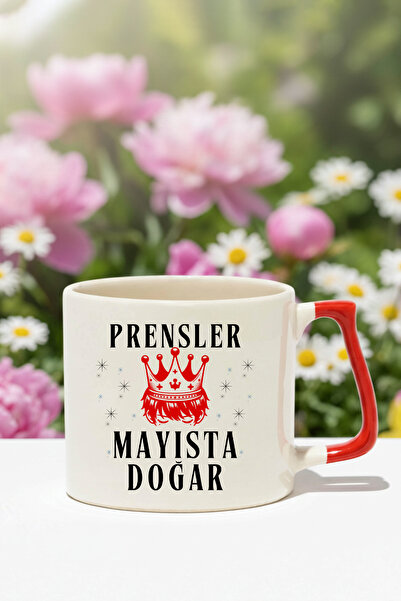qoeuyl boutique Princes Are Born in May Printed Mug with Handle for Boyfriend...