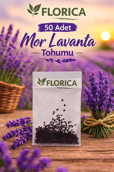 FLORICA 50 Adet Mor Lavanta Tohumu – Lavanta Çiçeği Tohumu Bahçe ve Saksı İçin
