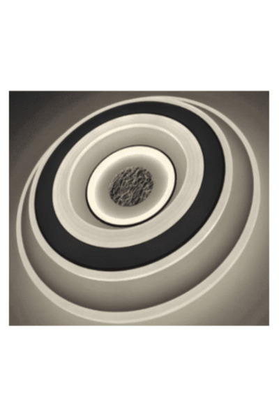 OEM lustra led Μοντέρνο Κυκλικό Φωτιστικό Οροφής LED με Οργανικό Σχεδιασμό – ...