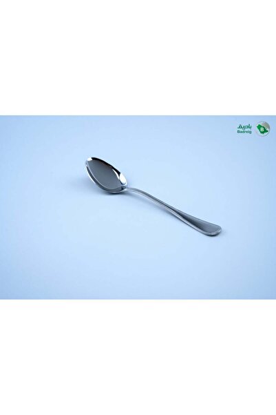 badreig Egyptian Stainless Steel Dotted Eating Spoon 12 Pieces