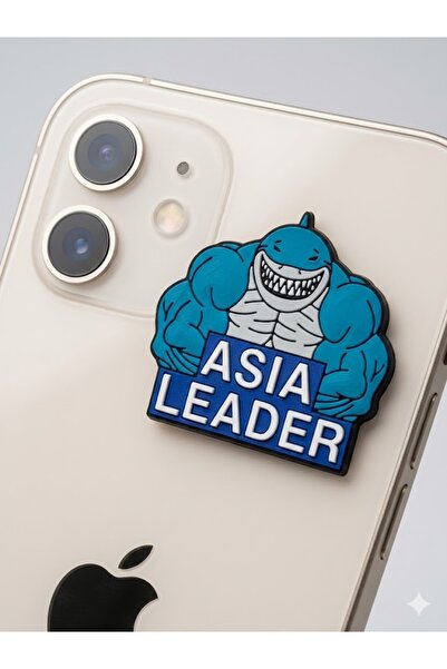 genric Asia Leader Logo Metal Sticker