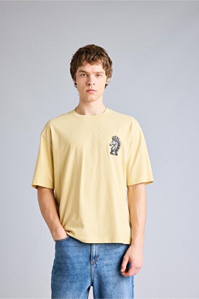 DeFacto 100% Βαμβακερό T-shirt με στάμπα σε φαρδιά γραμμή F8024AX26SP