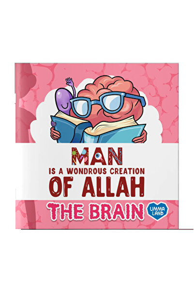 Ummaland الإنسان هو خلق الله العجيب - الدماغ