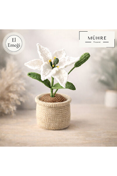 mühre Lily in a Pot Gift 100% Cotton Organic Amigurumi Knitted Birthday Gift