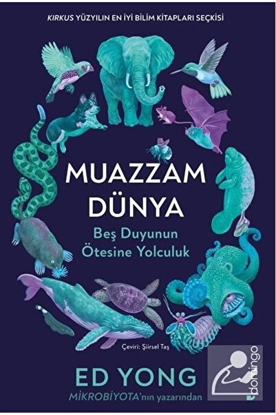 Domingo Yayınevi Muazzam Dünya: Beş Duyunun Ötesine Yolculuk