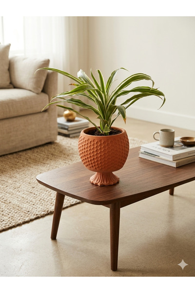 Yades Ayaklı Tasarım Saksıda Dracaena Canlı Çiçek 40 cm - Kiremit Renk Dekora...