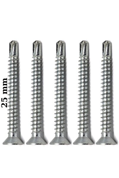 Netzerkoz 5 adet 3.9x25 YHB Akıllı Vida - Matkap Uçlu Vida - Metal Yüzeyler için