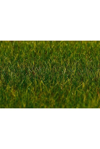 Genel Markalar Faller 180485 Statik Çim, Koyu Yeşil, 6 mm.,30 Gram.