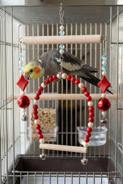 Mivra Pets Sultan Papağanı Oyuncağı Zilli Sallanan Gürgen Ahşap Kafes Oyuncağ...