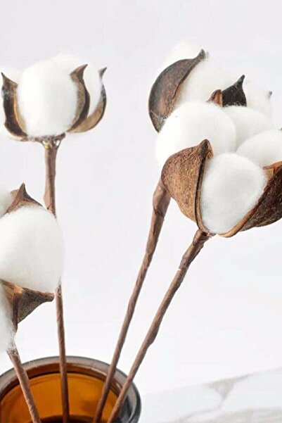 Large Natural Cotton Bundle 10pcs