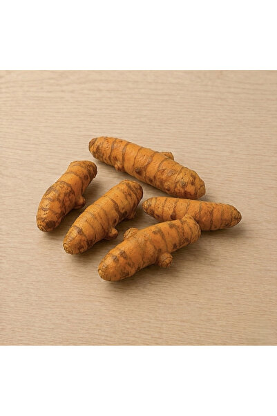 ALPÖZ ORGANİK Taze Kök Zerdeçal 100 Gr 6 Paket (Toplam 600 Gr)
