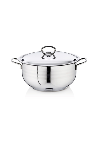 Bestinox 26X14 cm Steel Deep Pot with Wire Handles and Steel Lid - 6.5 Liters