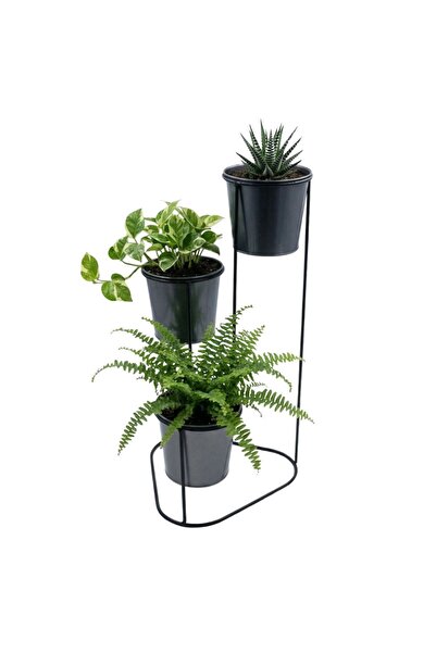 Gift Design Suport pentru flori, metal, negru, 3 ghivece, 24x22x47 cm