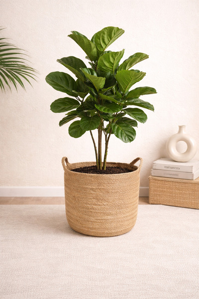 KaiHome Large Size Decorative Wicker Basket - Flower Pot and Organizer