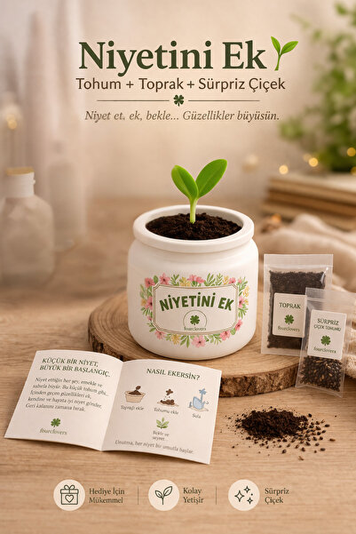 “Add Your Intention – Concrete Flower Pot with Surprise Seed (Decorative Mini Flower Kit)”Gift Set