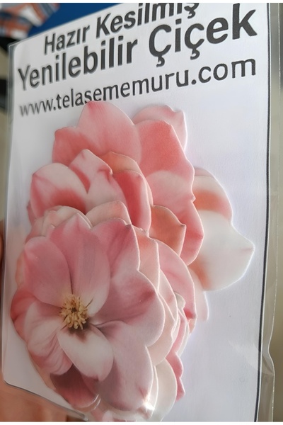 hediyehobihersey TEK TEK HAZIR KESİLMİŞ - Yenilebilir Çiçek Pasta Süsü - Manolya Yenilebilir Kağıt Pasta Süsü -