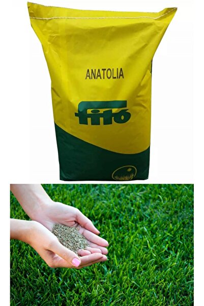Tunç Botanik Fito Anatolia Çim Tohumu 25 KG
