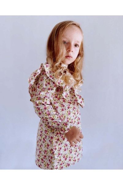 Generic Brand Girl's Giny Rose Dress