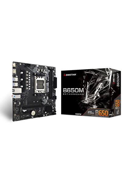 Biostar Placă de bază