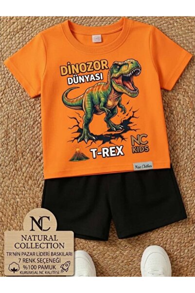 Nice Clothes Tricou și pantaloni scurți de vară pentru copii, unisex (imprime...
