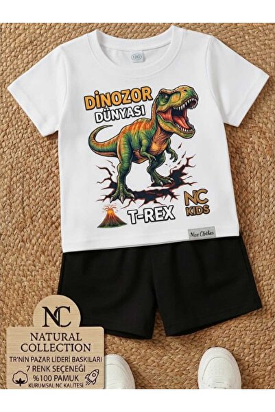 Nice Clothes Tricou și pantaloni scurți de vară pentru copii, unisex (imprime...