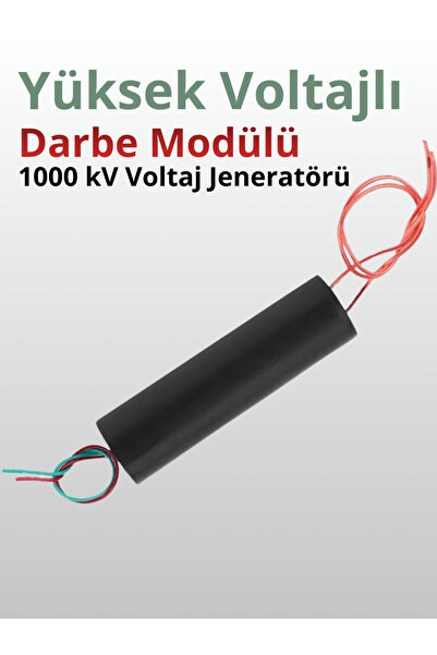 High Voltage Pulse Generator 1000 kV Module