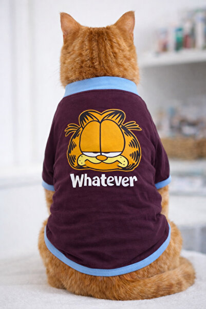 Chakie Garfield Cat Dog Outfit