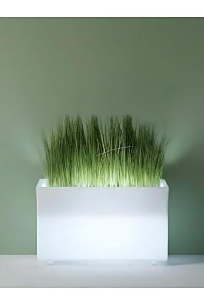 MYASEM STORE Rectangular LED Planter 30L 68x39cm Illuminated Indoor Outdoor G...