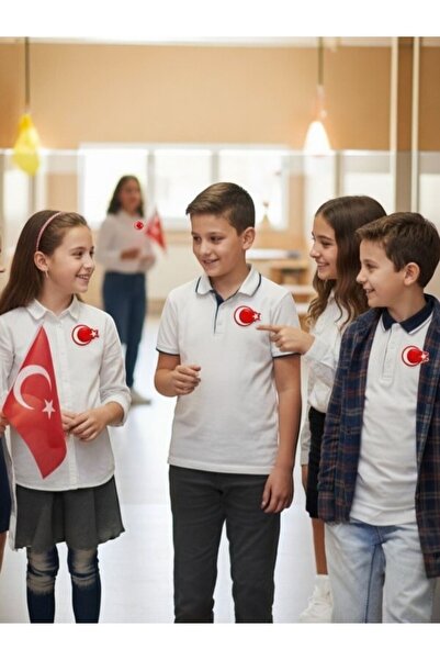 Armada Σετ 30 αυτοκόλλητων σημάτων για τον γιακά 23 Απριλίου 3D – Αυτοκόλλητο...