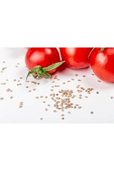 Bathurat "Red Cherry" Cherry Tomato Seeds (1 Gram) - Approximately 400 Seeds ...
