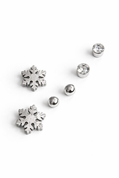 serelya 316L Steel Silver Color Zircon Stone Snowflake Model Women's Earring Set