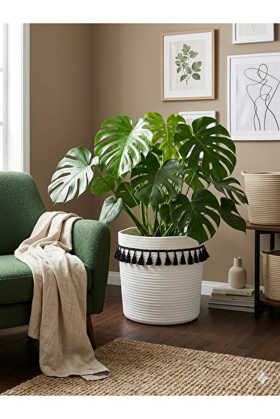 bayram taşcıoğlu home desing 30*30 Tasseled Ecru Organizer Basket Flower Pot....