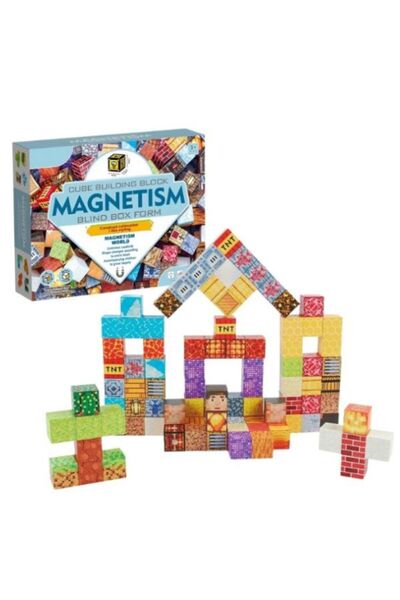 OEM Set of 63 magnetic blocks Minecraft type construction, Magnetism Blind Bo...