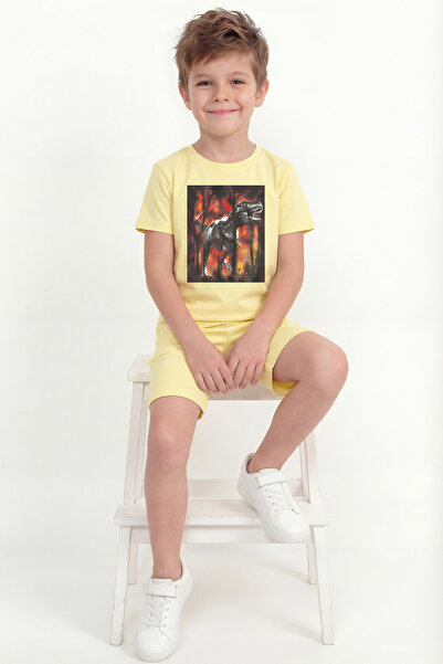 Modmey Boy's Printed Double Set B21