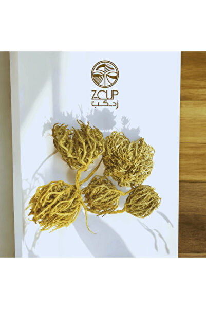 Z-CUP كف مريم وتبدأ بوزن 125 جرام