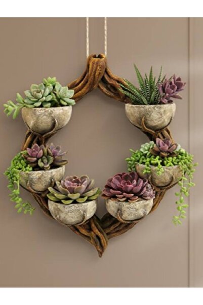 3BE 3 Boyut Endüstriyel 29x24 cm Sukulent ve Kaktüs duvara askı saksılık, çiç...