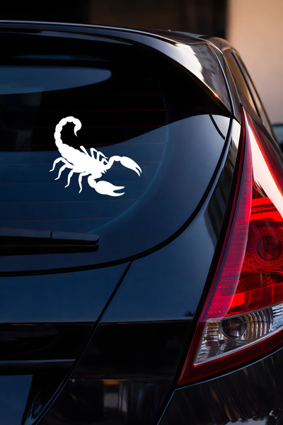 MIGNATIS Scorpion Car Sticker - Aggressive Design Vehicle Sticker - Motor Sti...