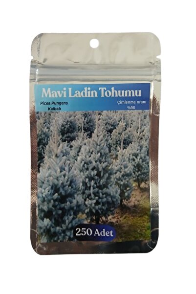 Rika 100 Adet Mavi Ladin Tohumu, Picea Pungens Kaibab