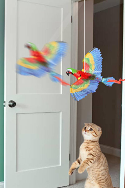 ThenTech İnteraktif Papağan Figürlü Kanat Çırpan Uçan Kuş Kedi Oyuncağı Asıla...