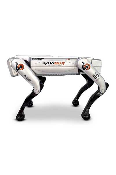 MY toys Mytoys RC Smart Dog Robot with AI, Programmable with Light, Music