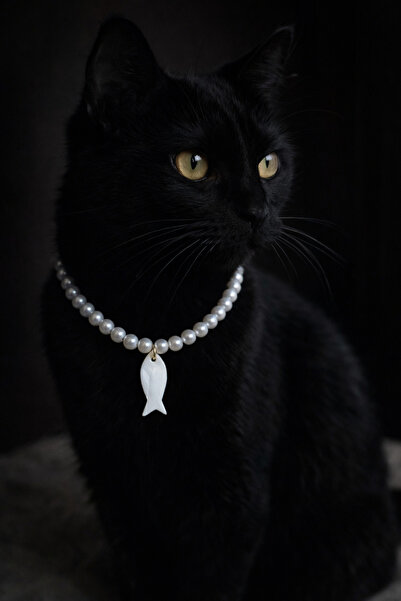 HALHALMILL Fish pearl cat necklace