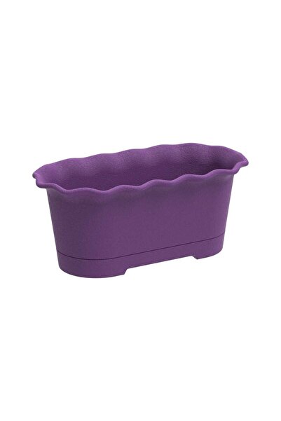 Cosmoplast وعاء زرع 15 سم 124 لون متنوع