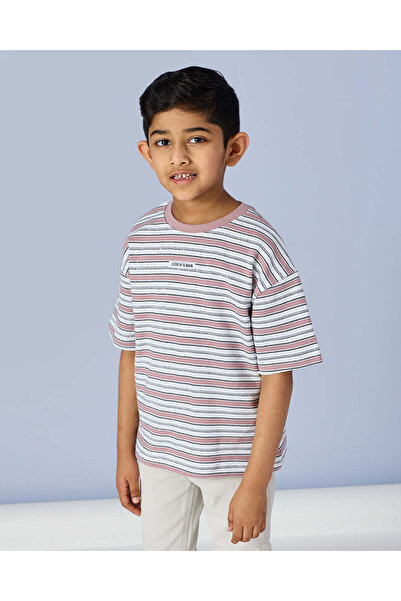 REDTAG Boys Purple Striped T-Shirt