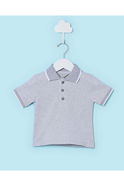 REDTAG Infant Boys Grey Polo T-Shirt
