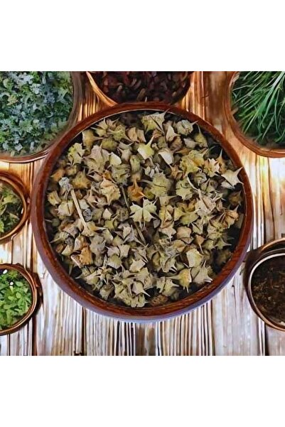 Z-CUP بذور القطبة الحسك بوزن 125 جرام