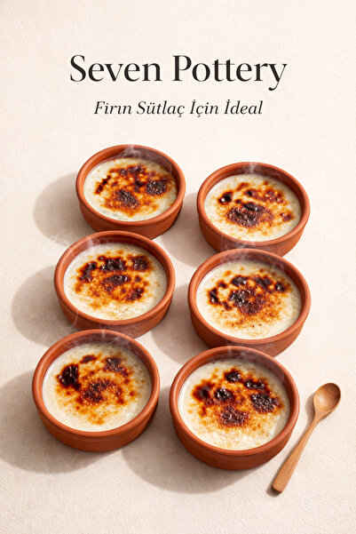 TASARIMCOLLECTİON Sütlaç kasesi 6 lı takım